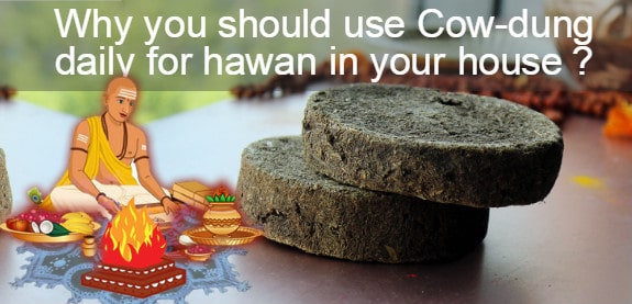 why you should use dung daily for hawan in your house