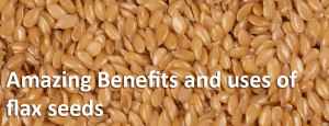 Flexseed benefits