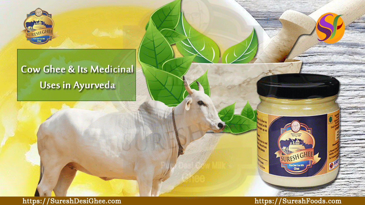 Cow Ghee & Its Medicinal Uses in Ayurveda