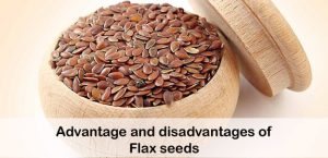 Advantage and disadvantages of Flax seeds