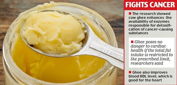 Desi Cow Milk Ghee and Cancer Protection