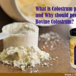 What is Colostrum powder : SureshFoods.com
