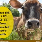 Grass-fed cow ghee from grass-fed cow's milk : SureshFoods.com