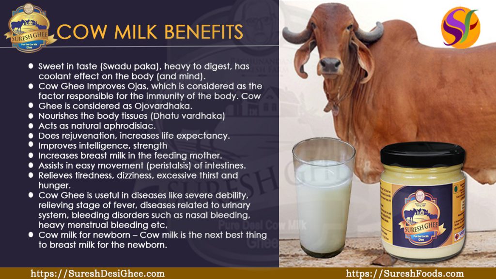 Importance Of Ghee Made From Cow Milk 7221