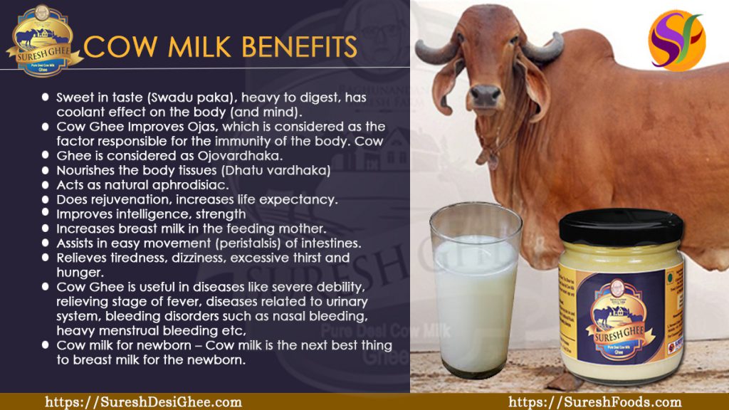 Cow milk benefits : SureshFoods.com