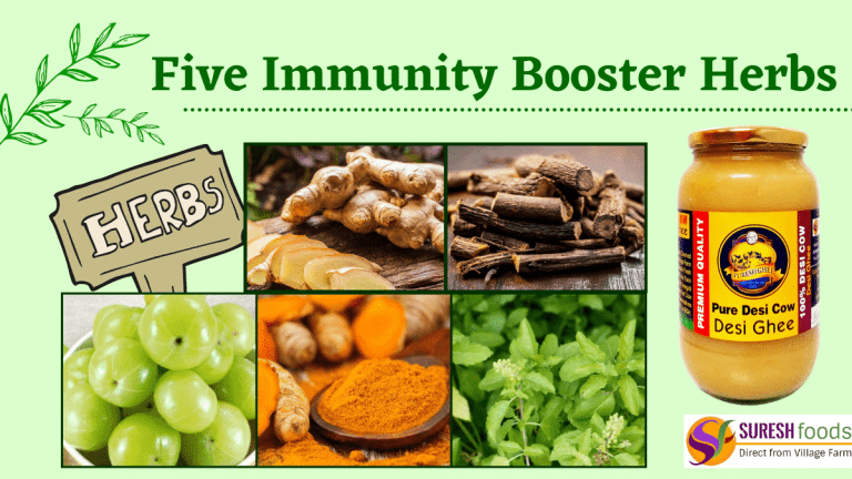 Five immunity booster herbs