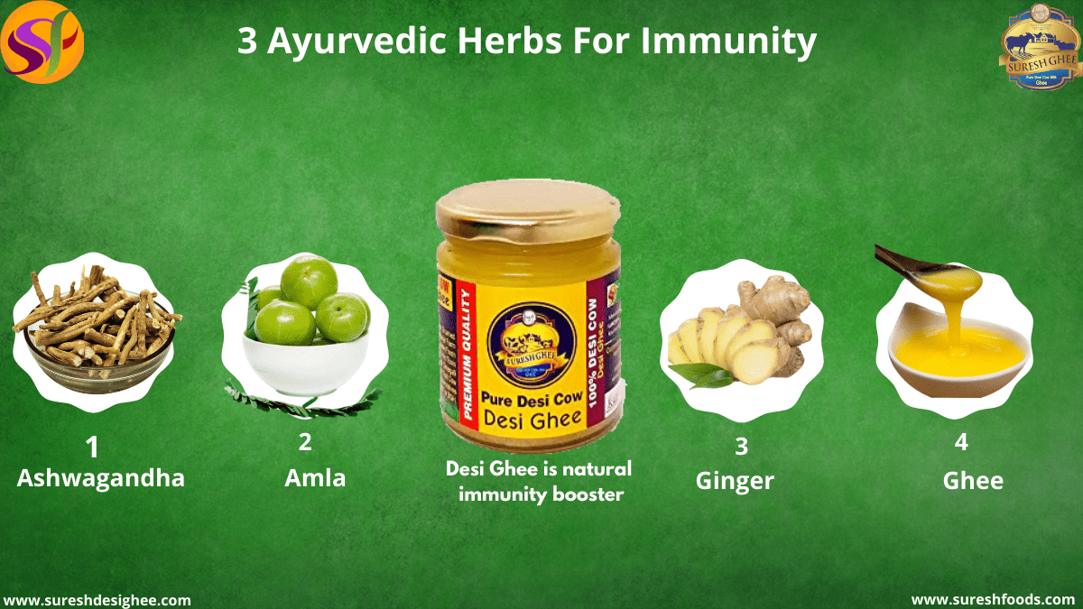3 Ayurvedic Herbs For Immunity