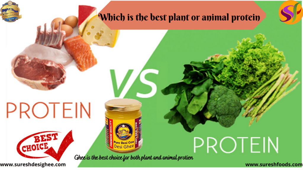 Protein In Plant Vs Protein In Animal