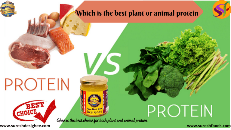 Plant Protein Vs Animal Protein