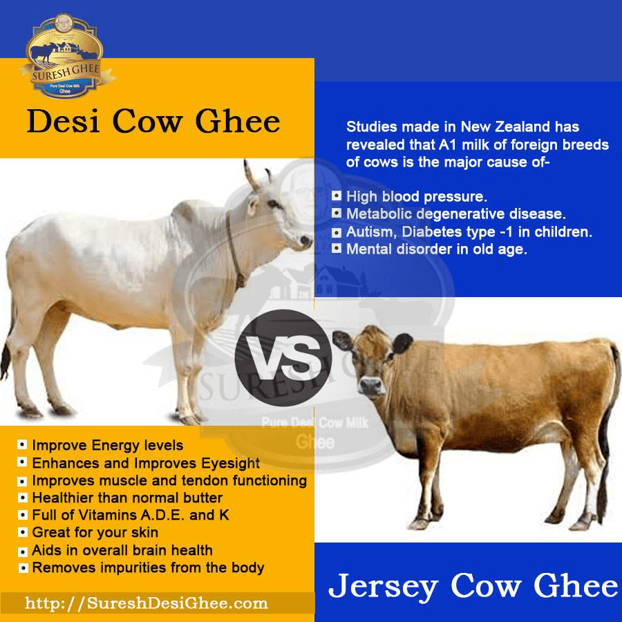 Desi cow ghee VS Jersey Cow Ghee