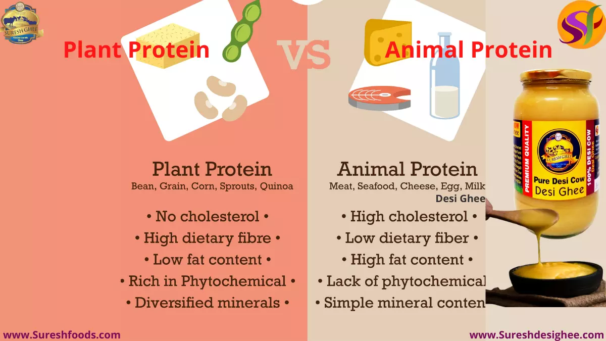 Protein - Plant Or Animal | Which Is Better?