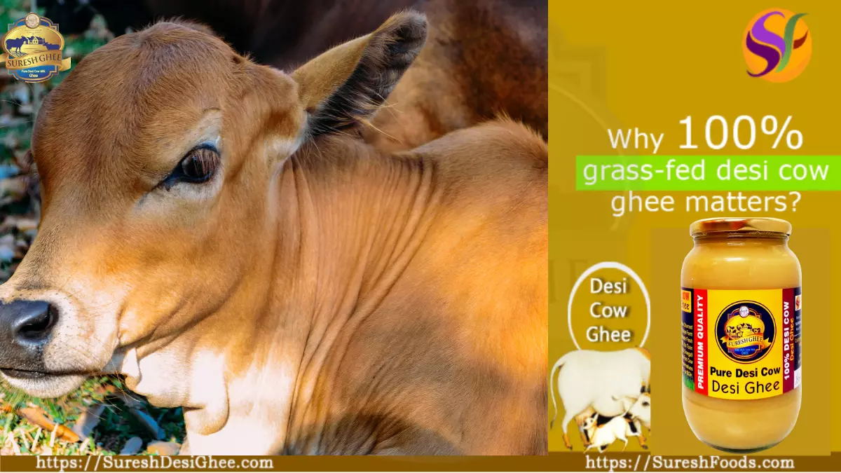 Why 100% grass-fed cow ghee matters : SureshFoods.com