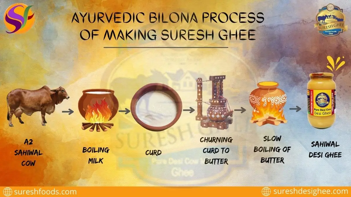 Bilona Ghee Making Process